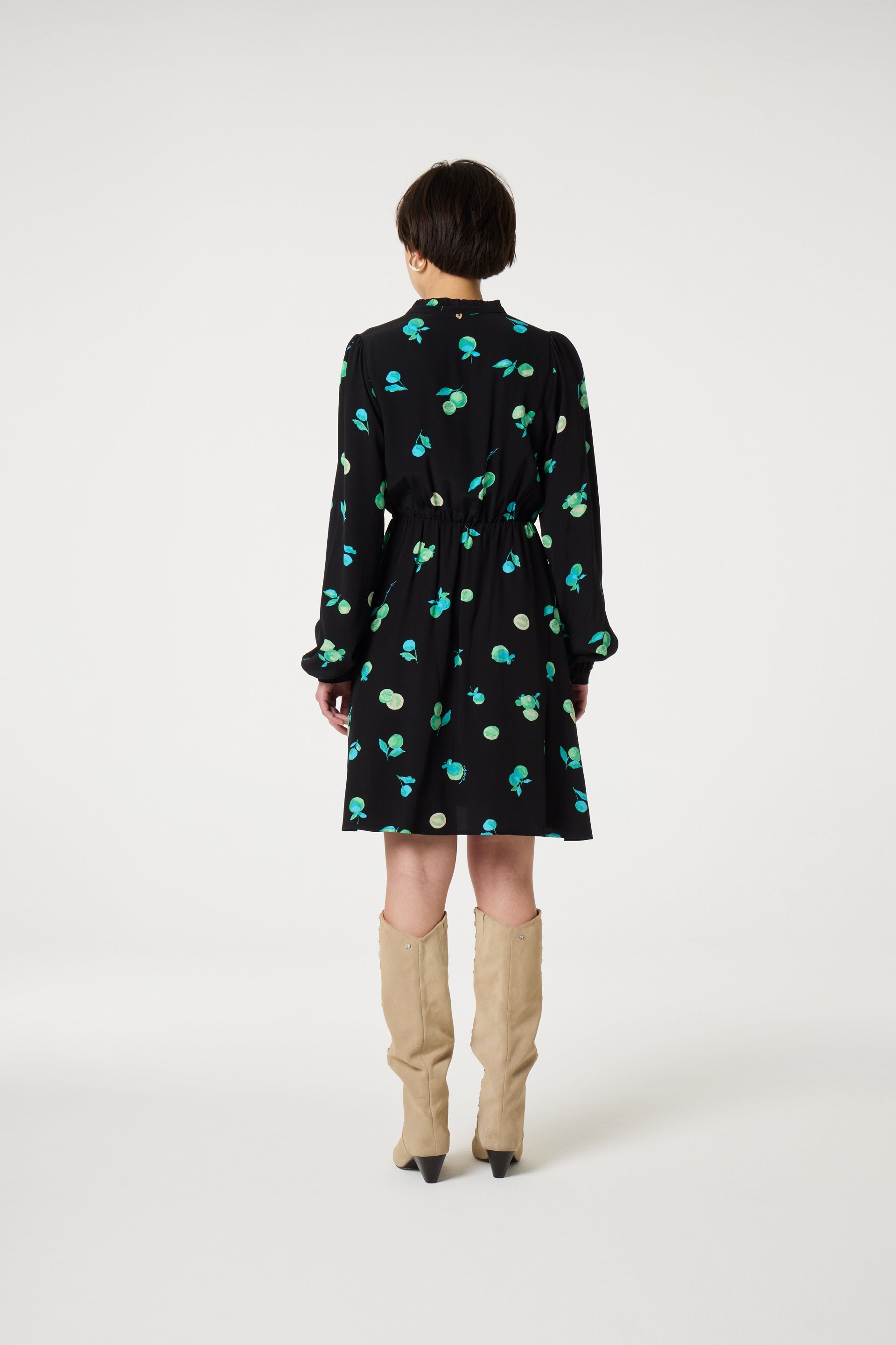 Anissa Dress | Black/Green Zest